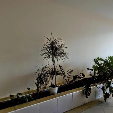 Apartmán Antonius Budapešť